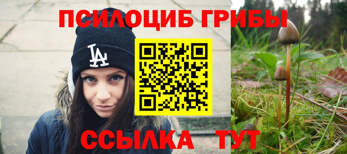 Псилоцибиновые грибы мицелий Кудымкар